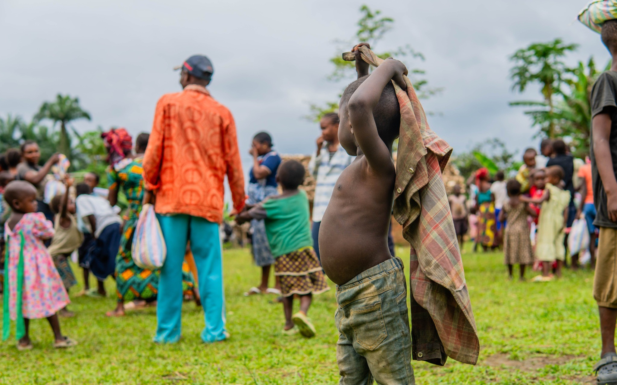 Illustration article